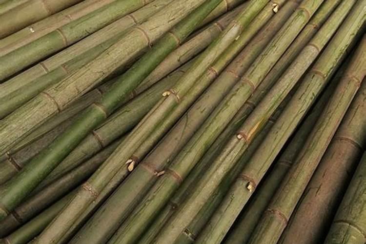 江西微量元素叶面肥木醋液