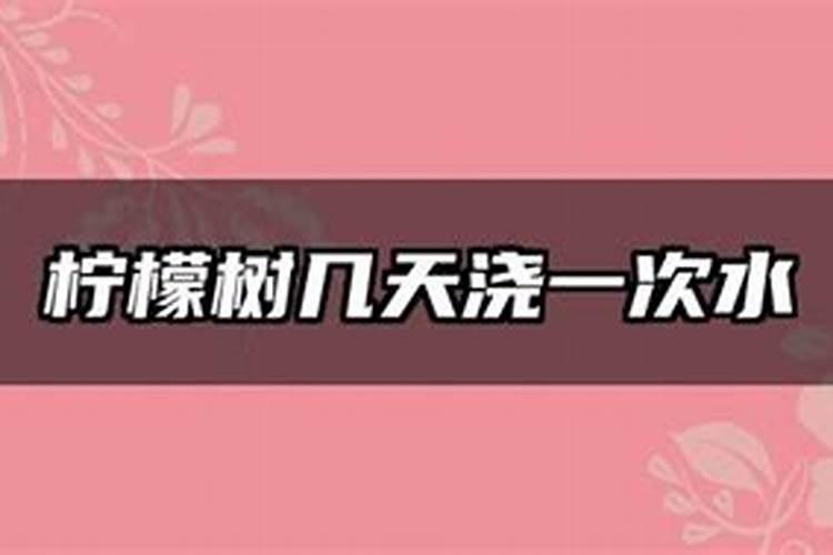 柠檬树怎么施肥？