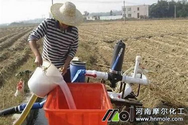 家庭种菜,如何低成本自制有机液体复合肥？