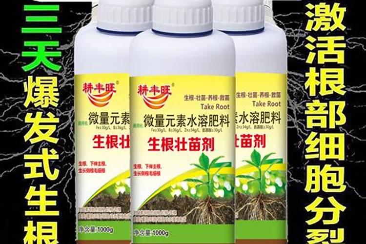 柑橘水溶肥的使用方法？柑橘用什么肥料长得快