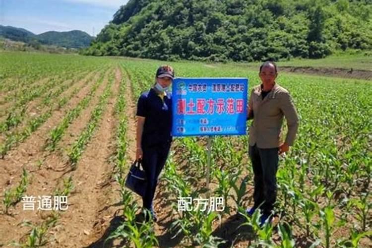 清原满族自治县宏运有机肥有限公司怎么样？