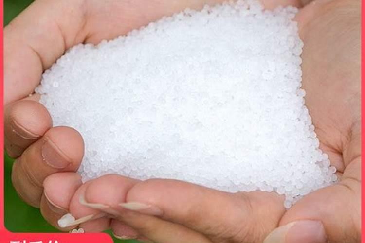 茶梅花怎么养殖？