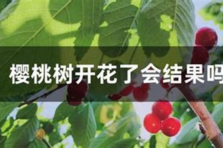 一亩地用多少硼肥 如何正确施硼肥