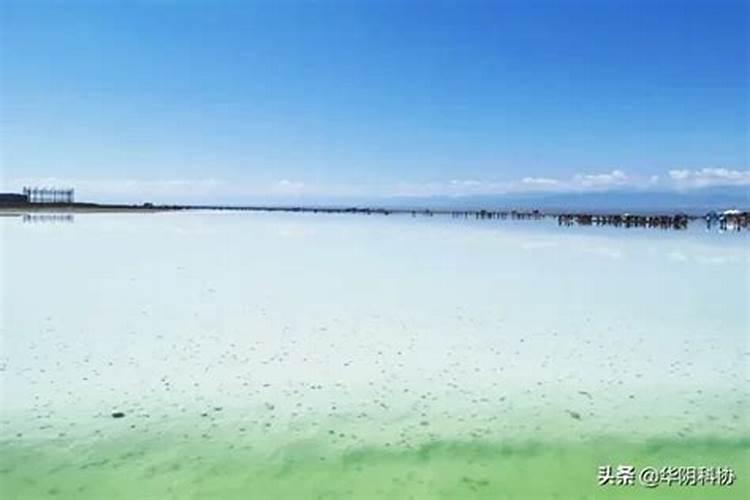 青海盐湖有哪些特点？