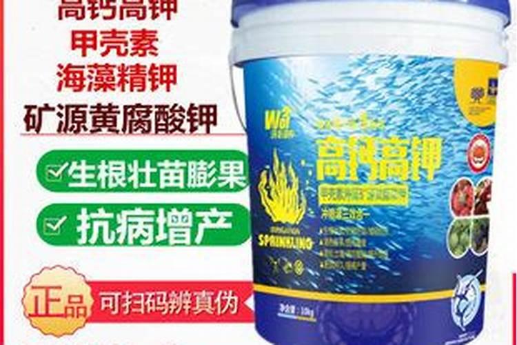 以色列海法水溶肥