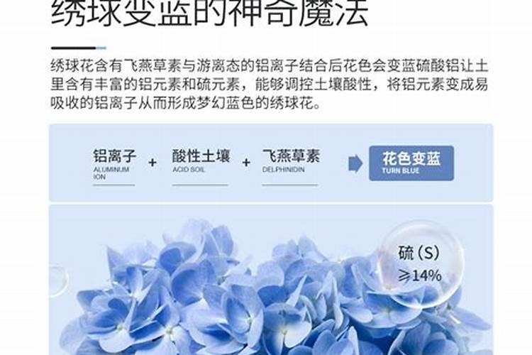 无尽夏怎么调蓝色