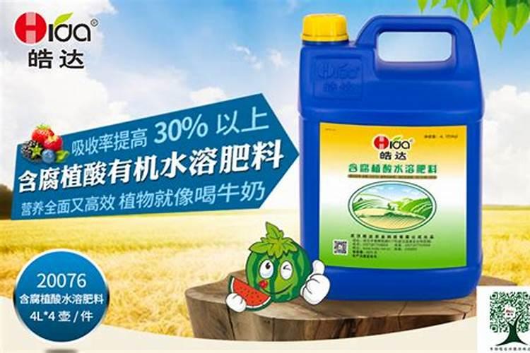 幼苗花椒树施什么肥
