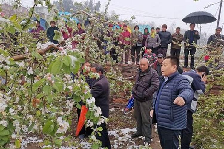 社会调查中什么是复合测量？