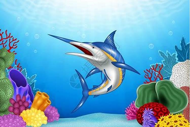 大马鱼是什么鱼