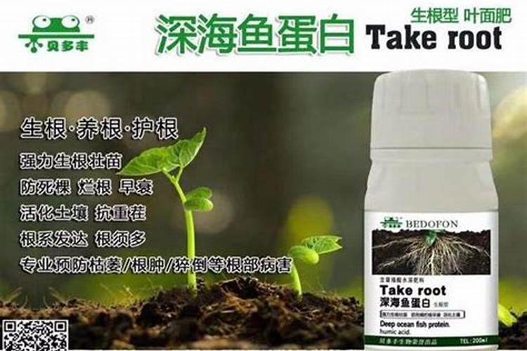 叶面肥可以代替根部施肥吗