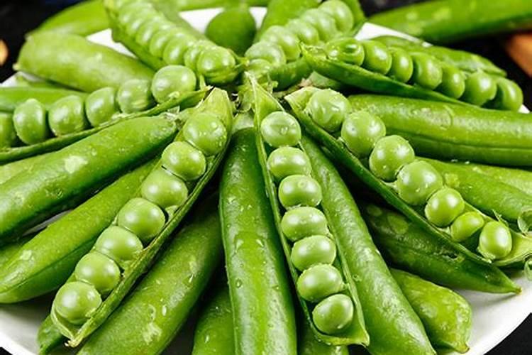 蔬菜种植缺硼有什么症状？如何正确补硼？