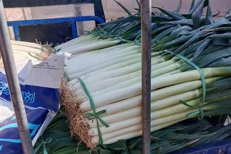 大葱施肥用什么肥料好