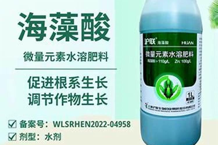 绿植有什么叶面肥