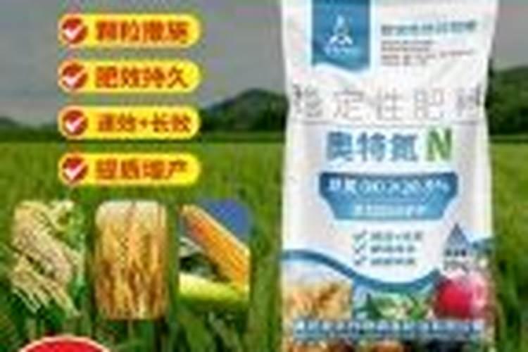 棉花后期需要什么肥料