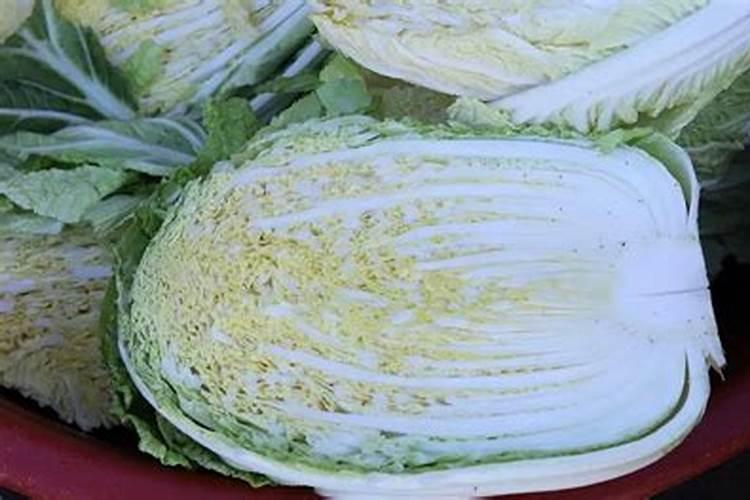 小白菜追肥用什么肥料好(种植小白菜施什么肥料尿素)