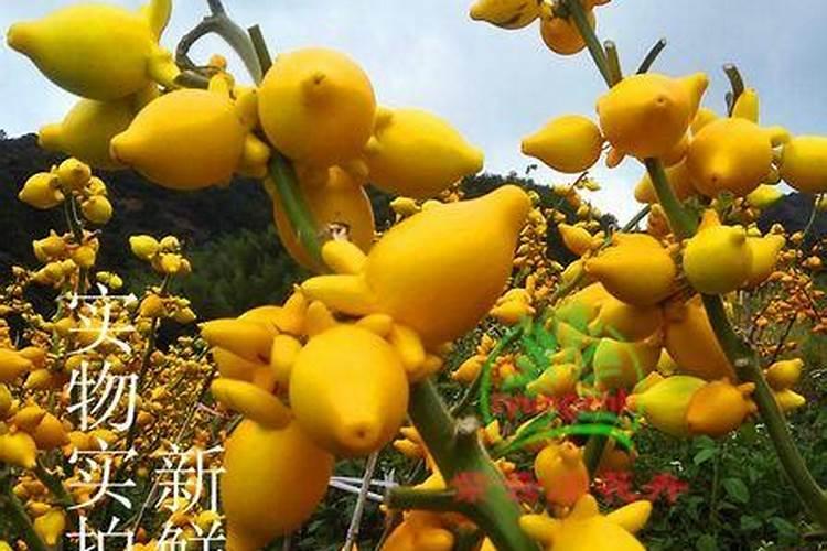 磷酸二氢钾一吨多少钱？