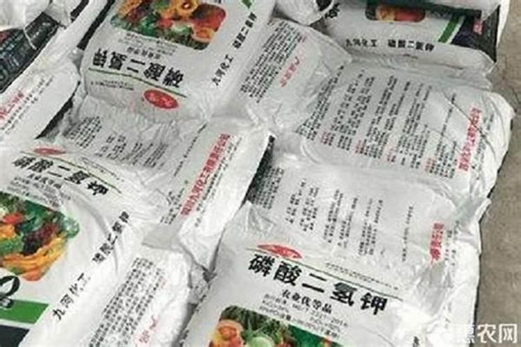 蔬菜叶面肥有哪些品种 微生物型叶面肥