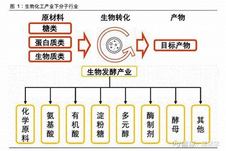 用鱼蛋白发酵鱼肠还有臭味吗