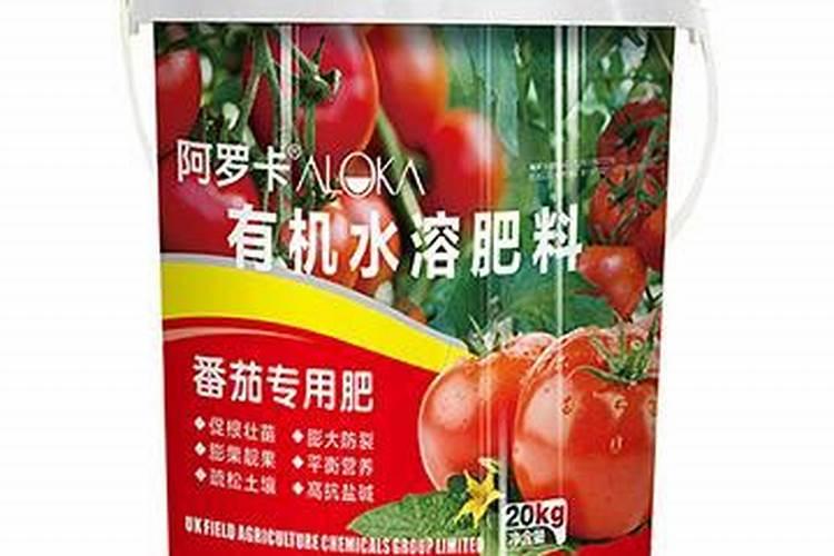 种植番茄在苗期,对水肥的使用都有哪些要求？
