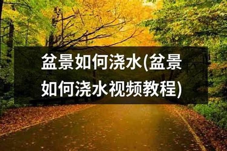 葡萄在开花的时候,浇水同时施硼肥是否可以呢