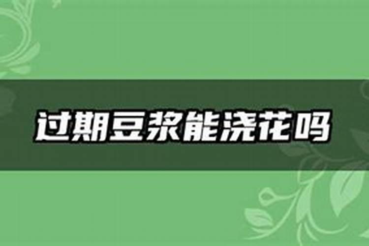 豆浆发酵几天可以浇花 豆浆发酵可以浇什么花