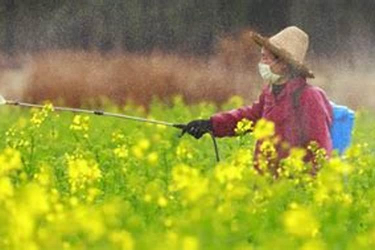 强冷空气来袭,农业生产如何应对？专家解读来了!  首席来了