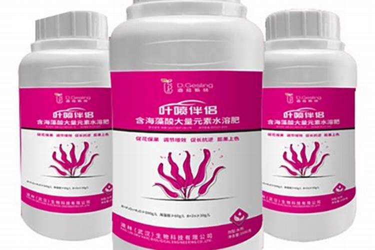 生根剂水溶肥叶面喷施效果会好吗