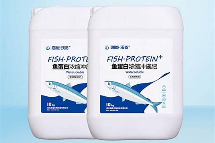 鱼蛋白使用注意事项