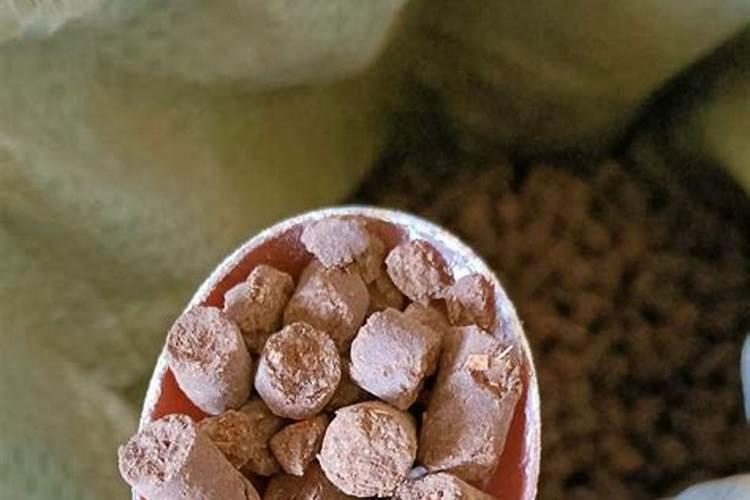 氮肥养花使用方法 氮肥养花的作用及使用方法