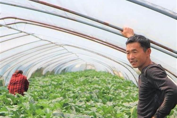 引起富营养化的原因是