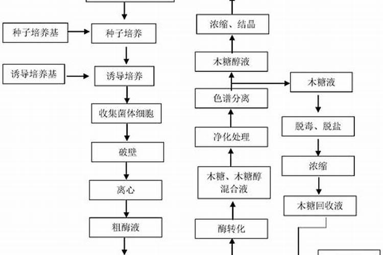 盖通儿童成长木糖醇钙片多少钱一瓶