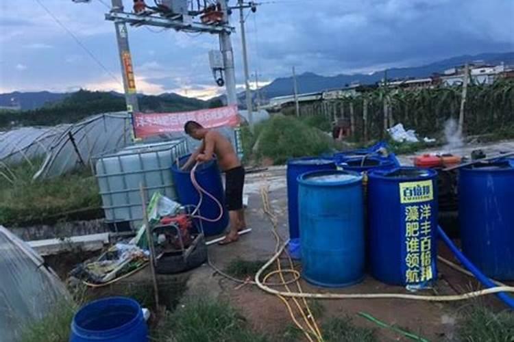 镁肥应该如何施用？