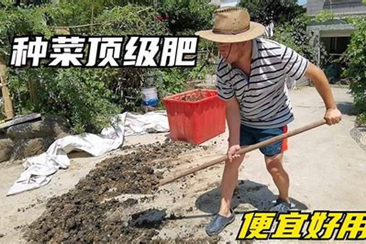 阳台种菜 适宜施什么肥