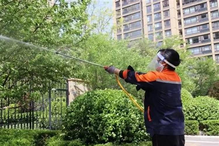 金桔开春后用什么肥料好？