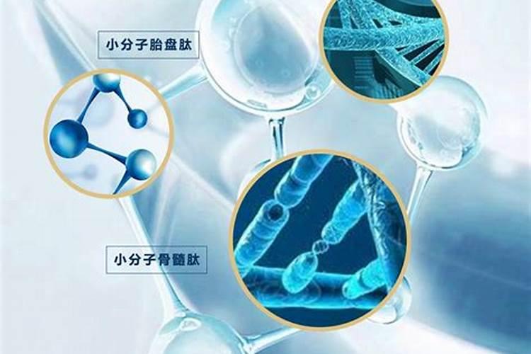 什么是淡水鱼活性多肽？