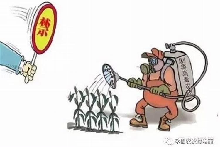 有机磷农药不能充当叶面肥使用,这是为什么？