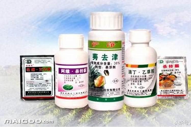 磷肥是指哪些肥料
