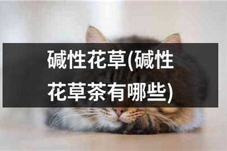 养花的碱性肥料有哪些