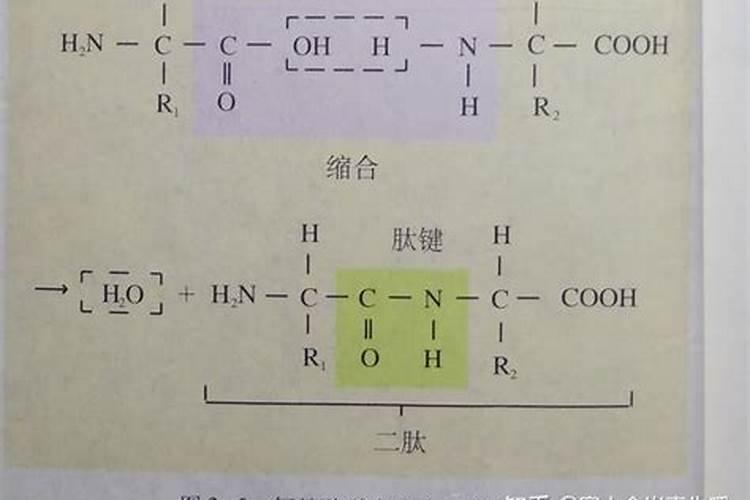 氨基酸肥料可以和磷肥一起用吗？