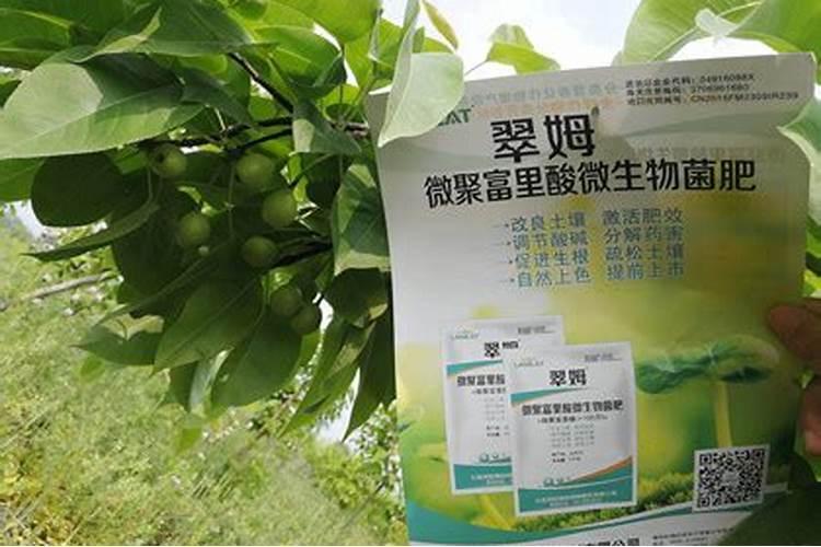什么是水溶肥？水溶肥厂家有哪些？