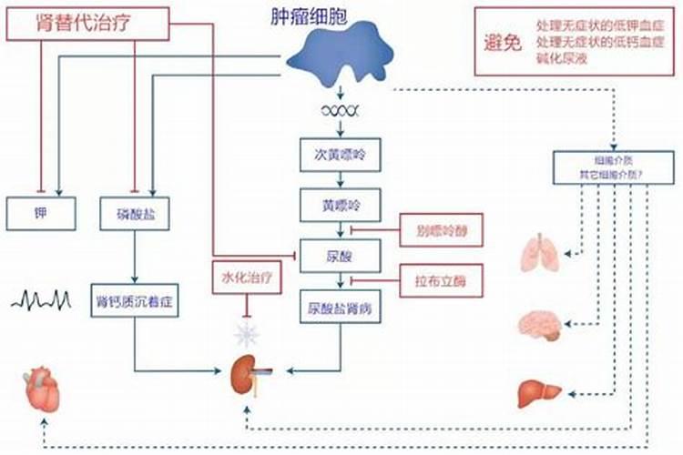 黄腐酸钾过量使用危害