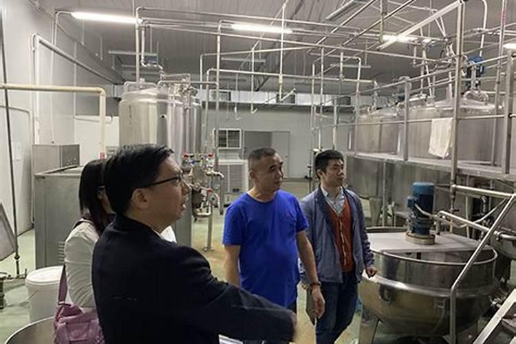 金枝玉叶怎么施肥