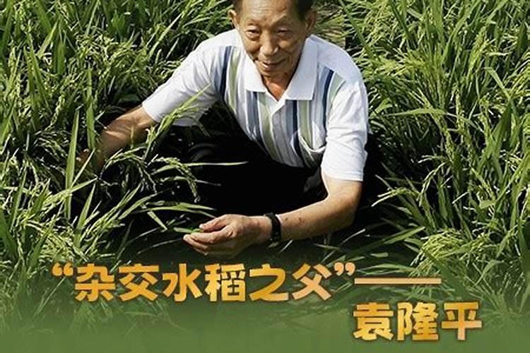沃柑花期如何施肥保花保果？