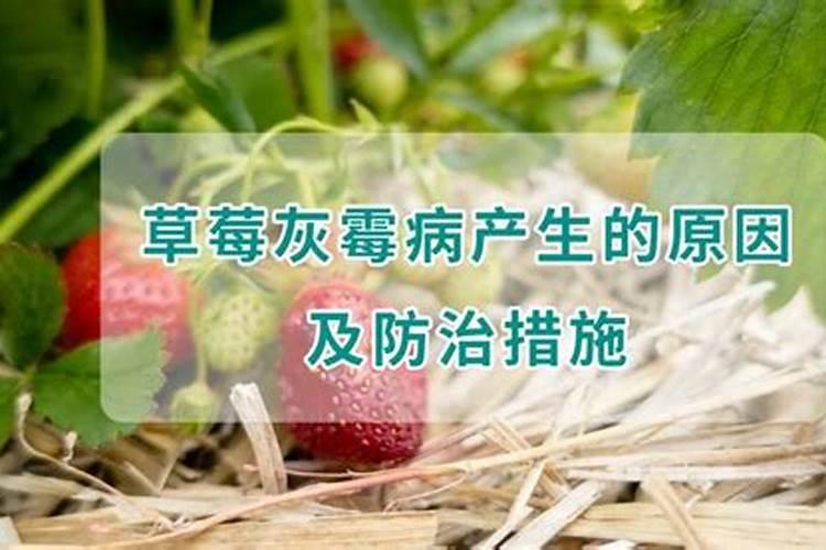 山东安克生物工程有限公司公司简介