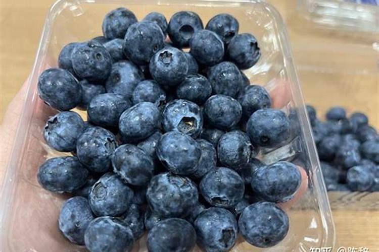 花卉缺少什么肥料如何进行判断