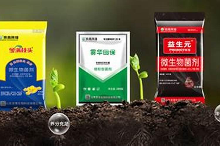 叶面肥价格一般是多少 如何选购好用的叶面肥料
