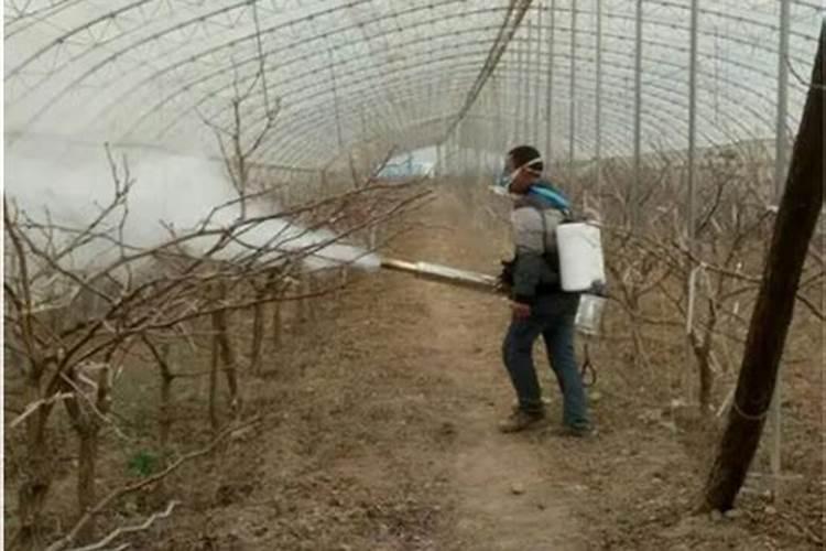 兰花头天浇了营养液是不是第2天要拿水把冲一下？