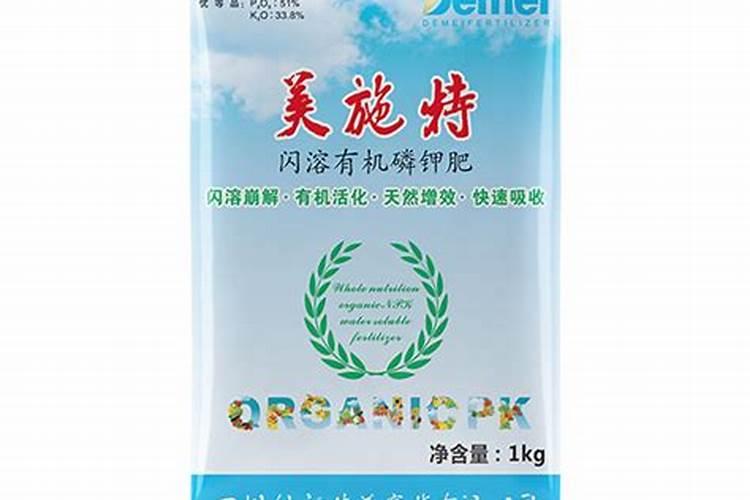 冬枣叶卷死头是什么病？