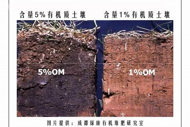 碳酸钙农业用途