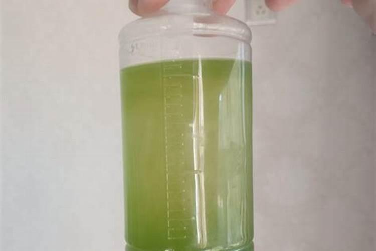 含铁的蔬菜用什么肥